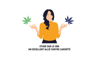 Etude - Le CBD soulagerait l'anxiété sans les risques du THC
