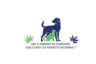 CBD & Animaux de compagnie