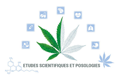 Posologies & Études scientifiques du cannabis