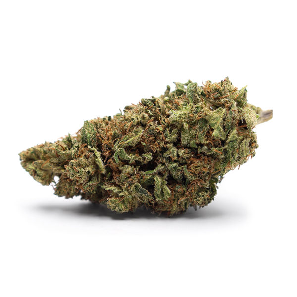Gorilla Glue CBD - Carrément Chanvre - Producteur Français