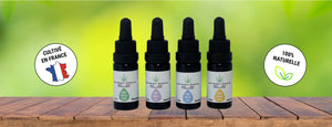 Producteur Français - Huile CBD - Carrément Chanvre 