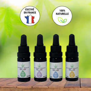 Producteur Français - Huile CBD - Carrément Chanvre 