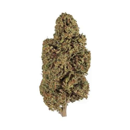 Orange Bud Cbdv