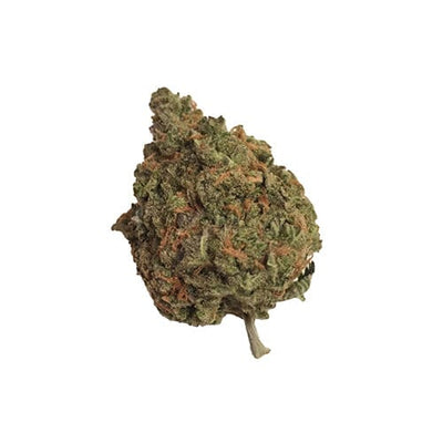 SHIVA SKUNK CBD Fleurs Carrement Chanvre 